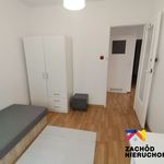 Rent 4 bedroom apartment of 66 m² in Warszawa