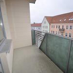 Rent 3 bedroom apartment of 70 m² in Prenzlau