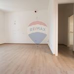 Rent 1 bedroom apartment of 40 m² in Desio