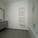 Rent 3 bedroom apartment of 62 m² in Toulouse