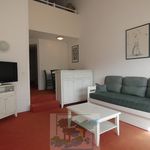  appartement avec 1 chambre(s) en location à Saint-Cyprien