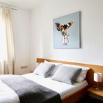 Miete 2 Schlafzimmer wohnung von 42 m² in Cologne