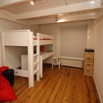 Rent 3 bedroom house of 150 m² in Harderwijk