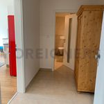 Pronajměte si 1 ložnic/e byt o rozloze 65 m² v Plzeň
