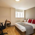 Rent 1 bedroom student apartment in Brighton