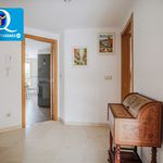 Alquilo 4 dormitorio apartamento de 122 m² en Alicante