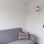 Wynajmij 2 sypialnię apartament z 39 m² w Dzierżoniów