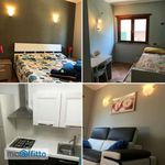 Rent 3 bedroom apartment of 60 m² in Sabaudia