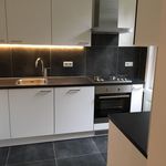 Rent 2 bedroom apartment of 110 m² in Zeist