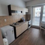 Rent 1 bedroom apartment of 20 m² in Hradec Králové