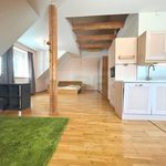 Rent 1 bedroom apartment of 60 m² in Prague