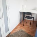 Rent 6 bedroom apartment in Krakow