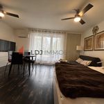 Rent 1 bedroom apartment of 33 m² in PerpignanT