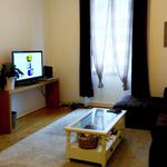 Rent 3 bedroom apartment of 67 m² in Castres