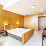 Rent 5 bedroom apartment of 160 m² in Praha