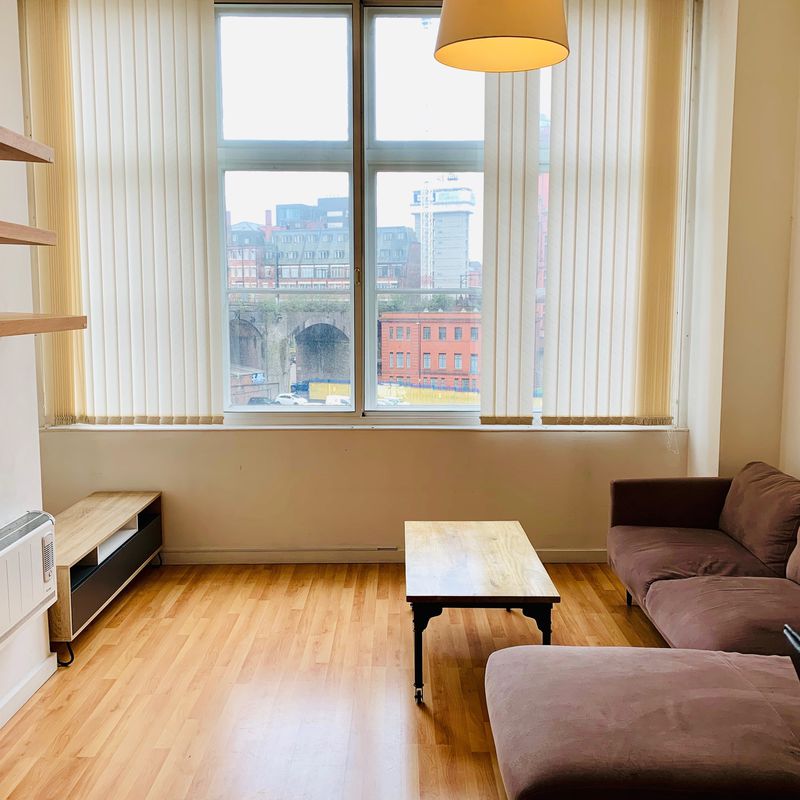 apartment for rent University