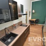 Rent 1 bedroom apartment of 32 m² in Praha