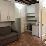 Rent 1 bedroom apartment of 20 m² in Siena