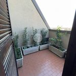 Rent 5 bedroom apartment of 220 m² in Lissone