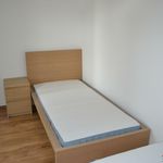 Rent 2 bedroom apartment of 70 m² in Fischamend