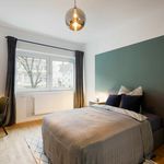 Miete 4 Schlafzimmer studentenwohnung von 16 m² in Köln