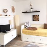 Rent 1 bedroom apartment of 29 m² in Dresden
