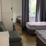 Rent 1 bedroom apartment of 42 m² in Meerbusch