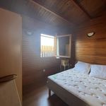 Rent 3 bedroom apartment in Lucciana