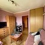 Wynajmij 1 sypialnię apartament z 18 m² w Poznań