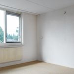 Rent 4 bedroom house of 117 m² in Westergeast