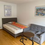 Rent 1 bedroom apartment of 26 m² in Bad Nauheim