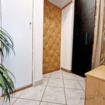 Rent 1 bedroom apartment of 39 m² in Brno