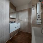 Rent 1 bedroom house of 190 m² in Vřesina