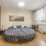 Rent 1 bedroom apartment of 37 m² in Píšťany