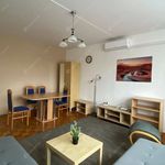 Rent 1 bedroom apartment of 55 m² in Budapest