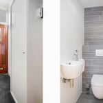 Rent 3 bedroom house of 120 m² in Zaandam
