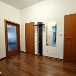 Rent 1 bedroom apartment of 48 m² in České Budějovice