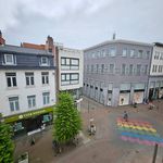 Rent 1 bedroom apartment of 44 m² in Hasselt