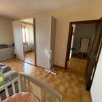 Affitto 3 camera appartamento di 120 m² in Bastia Mondovì