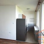 Rent 1 bedroom apartment of 33 m² in Hradec Králové