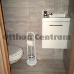 Rent 1 bedroom house of 49 m² in Budapest