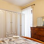 Affitto 5 camera appartamento di 115 m² in Bologna