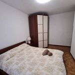 Alquilar 3 dormitorio apartamento en Oviedo