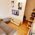 Rent 2 bedroom apartment of 40 m² in Píšťany