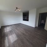 Rent 2 bedroom apartment of 60 m² in Nuremberg