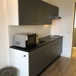 Rent 1 bedroom apartment of 30 m² in Den Haag