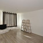 Rent 4 bedroom house of 115 m² in Terneuzen