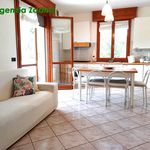 Rent 3 bedroom apartment of 64 m² in Cesenatico