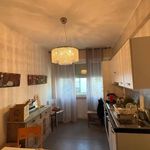 Rent 3 bedroom apartment of 75 m² in Fiumicino