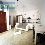 Affitto 1 camera casa di 35 m² in Vercelli